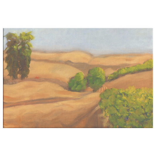 Grape Vine - Canvas