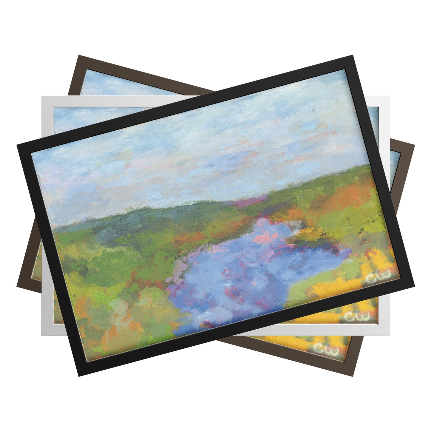 San Diego River - Mission Valley California