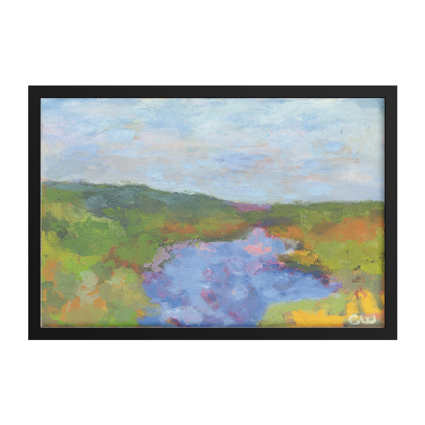 San Diego River - Mission Valley California